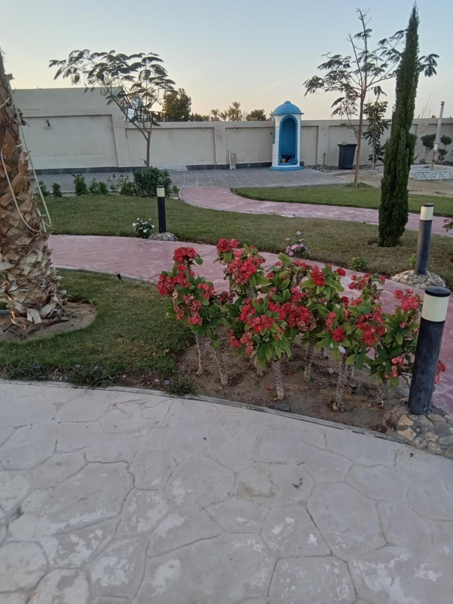 Aparthotel Casablanca Beach For Families And Couples Only à Hurghada Extérieur photo
